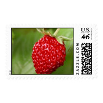 Luscious Strawberry Postage postage