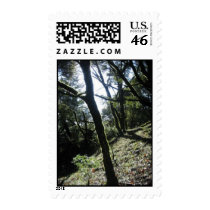 Lush Forest postage