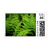 Lush Green Ferns Stamps