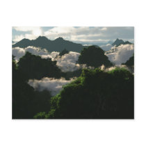 Lush Lands Postcard