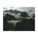 Lush Lands Postcard
