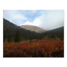 Lush Layers Art Photo