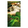 Lush Natural Colors Photo Cards