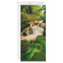 Lush Natural Colors Personalized Rack Card
