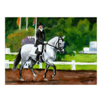 Lusitano Horse Portrait posters