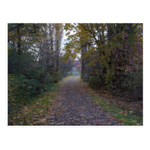 Luther Burbank Park Post Cards