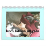 luv'n kitties all year long calendars