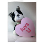 Luvs U Card cards