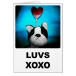 Luvs XOXO Card cards