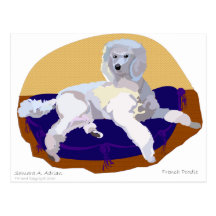 Luxery is the only way to go! postcard