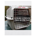 LUXURY CONDOS FULL COLOR FLYER