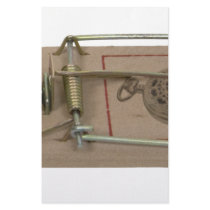 LuxuryTrap062109 Customized Stationery