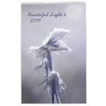 Luz hermosa 2 - calendario 2011