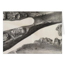 LXX Mastodon, Elephas Greeting Card