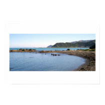 Lyall Bay, Wellington posters by Fieldfare Lyall Bay, Wellington posters