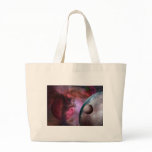 Lycos 4 bags