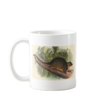 Lydekker - Common Ring-Tailed Phalanger/Possum mugs by LisasLair Lydekker - Common Ring-Tailed Phalanger/Possum mugs