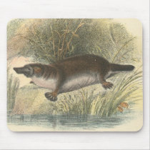 Lydekker - Platypus mousepads by LisasLair Lydekker - Platypus mousepads