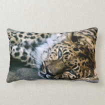 "Lying About" Pillow