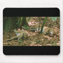 Lying Around Mouse Pad