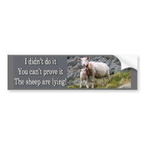 Lying Sheep bumper stickers by StickerManiac Lying Sheep bumper stickers