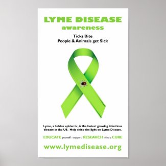 Lyme Disease Poster