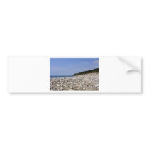 Lyme Regis bumper stickers
