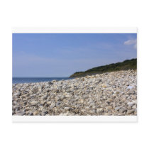 Lyme Regis postcards