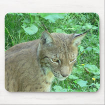 Lynx 3 mouse pad