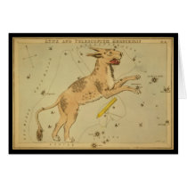 Lynx and Telescopium Herschilii cards