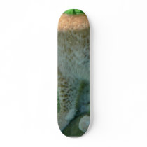 Lynx Animal skateboards by lifesphere Lynx Animal skateboards