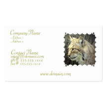 Lynx Cat Business Card