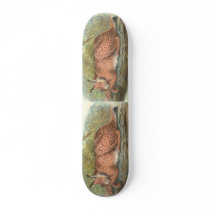 Lynx, Felis lynx Skateboard Decks