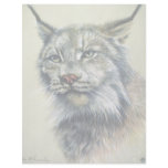 Lynx (head study) customized letterhead