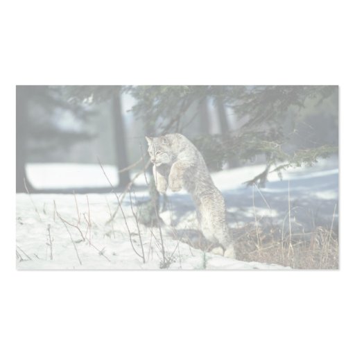 Lynx leaping, bounding on snow business card template (back side)