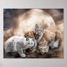 Lynx Moon Art Poster/Print