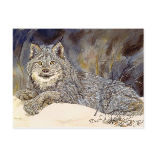 Lynx Postcard postcard