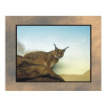 Lynx