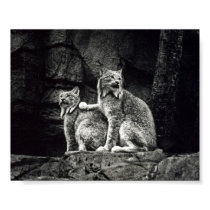 Lynx Poster posters by firthisaword Lynx Poster posters