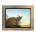 Lynx posters by rockyj Lynx posters