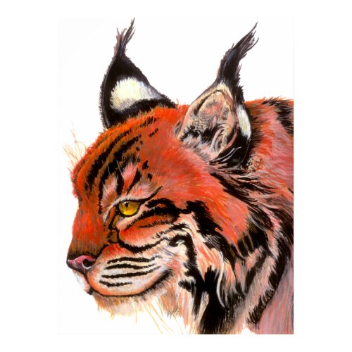 Lynx Print print