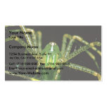 Lynx Spider Business Card Template