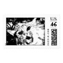 lynx stamp by nefera lynx stamp