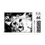 lynx stamp