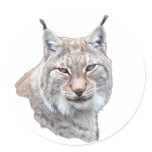lynx sticker