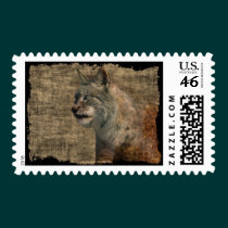 Lynx Wild Cat Wild Animal Big Cat Postage Stamps stamps