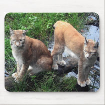 Lynx - wild cats mousepad mousepads