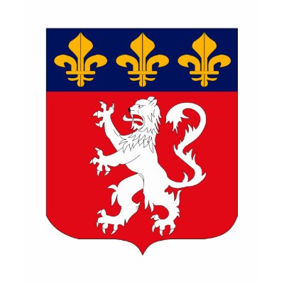 Lyonnais Coat of Arms T-shirt by FlagTshirts