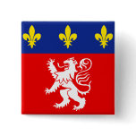 Lyonnais, France Pin
