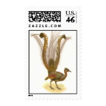 lyre bird postage stamp